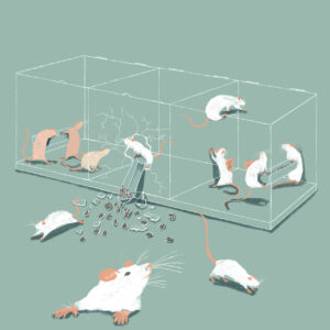 2024 - Anna Ippolito - Voilá la Libertá