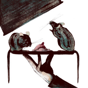 2024 - Matteo De Ascaniis - Dolce a sorpresa