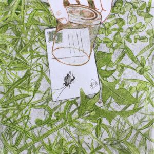 2024 - Maria Giulia Terenzi - Sei libero!