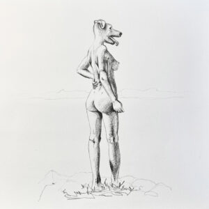 FLOP - Erica Battaglia - L'istinto nudo (Matite)