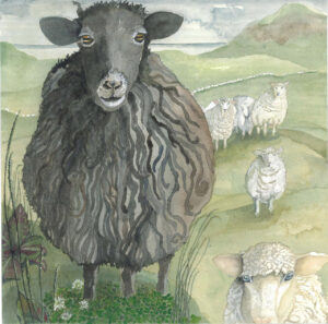 FLOP - Paola (Lucia) Canziani - la diversità non è un flop! (acquarello su carta)