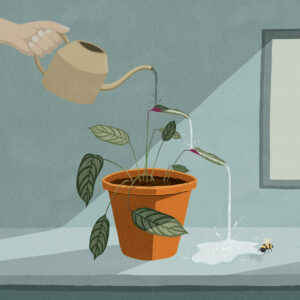 FLOP - Lisa Romellini - Drop (Illustrazione digitale)