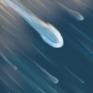 FLOP - Stefano Zaninello - Flop stellare (Digitale)