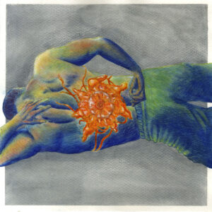 FLOP - Lorenzo Boellis - 'CONTRASTO DI MEDUSA'' (base di acrilici diluiti in acqua e matite colorate)