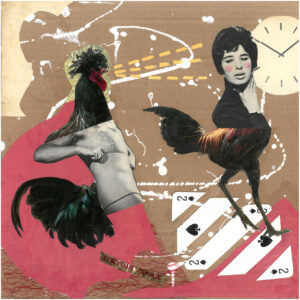 FLOP - Stefania Bardinella - Carta canta - Sorry