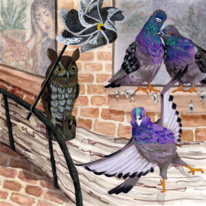 FLOP - Claire Lynch - Roost Premiere (Watercolor