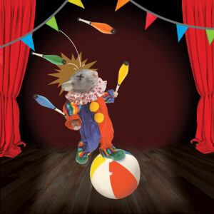 FLOP - Silvia Lombardi - Grande Spettacolo (Collage Digitale)