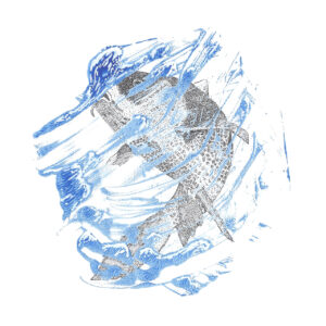 FLOP - Davide Alfonso Bertoglio - Carpa macchiata (Mista: Acrilico e inchiostro su carta e digitale)