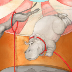 FLOP - samanta fiz - limiti e obbiettivi (acquerello)