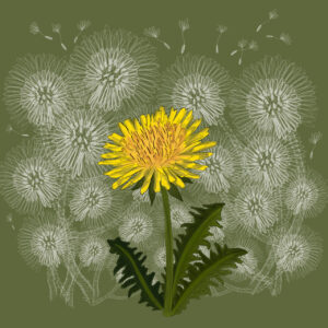 FLOP - Valentina Gallarato - Punti di vista (Digitale)