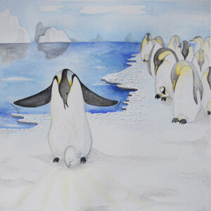 FLOP - Annalisa Patanè - Il pinguino (Acquerelli)