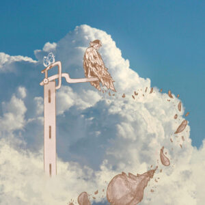 FLOP - Gelmo Barbieri - Il Sogno di Icaro (Illustrazione e collage digitali)