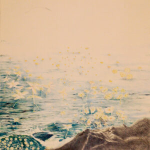 FLOP - Federica Minelli - Mare fiorito (Matite colorate su carta)