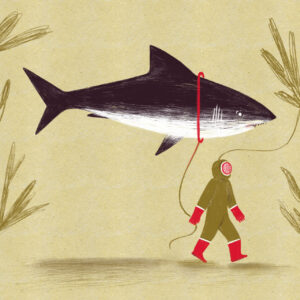 FLOP - Anna Corradi - “Pesce-cane” (Digitale)